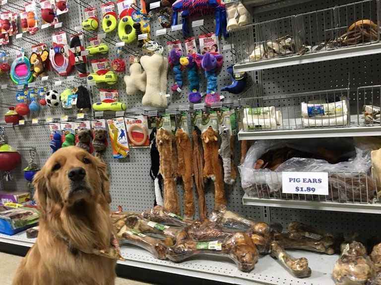 Pet Supplies at Reboy Supply