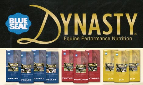 Dynasty horse feed