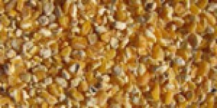 Fine Cracked Corn