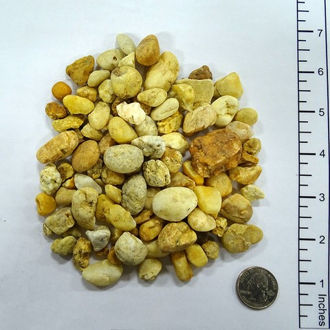 Golden Yellow Golden Yellow