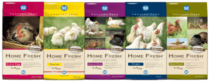 Blue Seal Chicken Feed